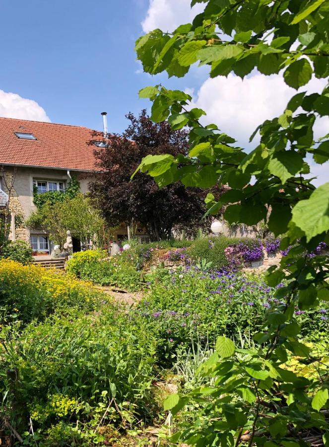 Le Clos Des Pommes Bioncourt Buitenkant foto